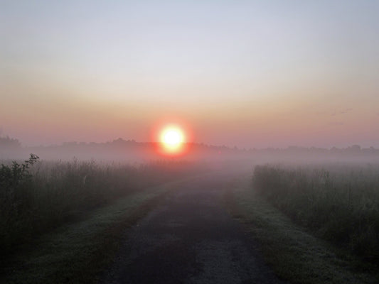 Photos by Nicole Horlor, Kingston, ON, Canada