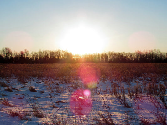 Photo's by Nicole Horlor, Lemoine Point, Kingston, ON, Canada