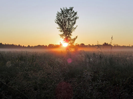 Photo's by Nicole Horlor, Kingston, ON, Canada