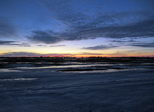 Photo's by Nicole Horlor, Lemoine Point, Kingston, ON, Canada